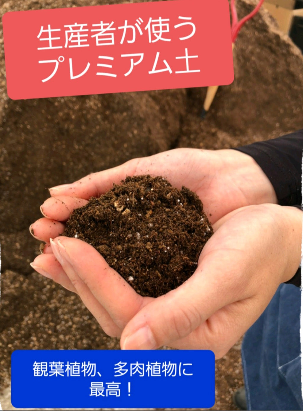 送料無料　エコグリーンヒガシ万能土　20リットル(10リットルの2袋)