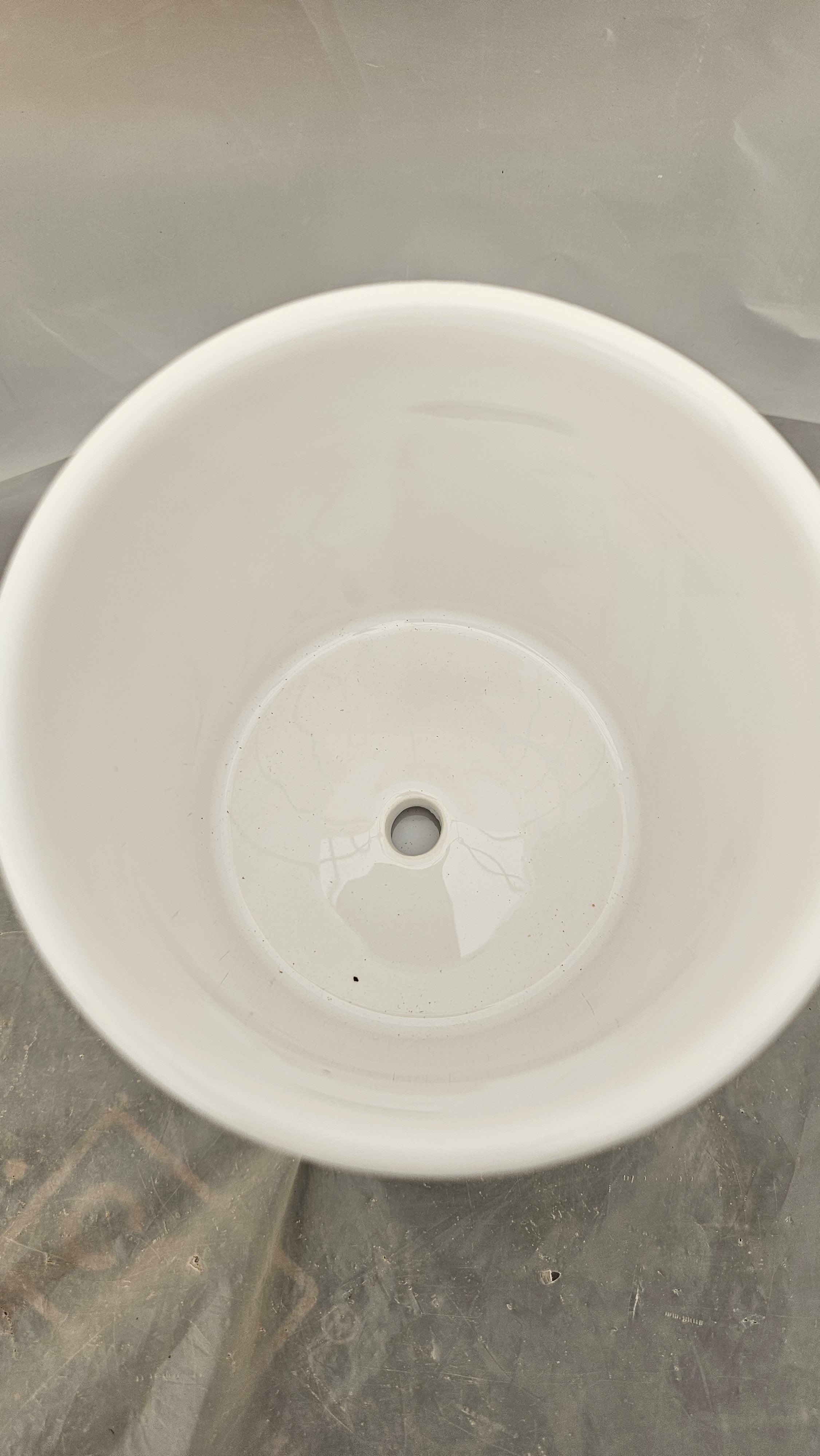 送料無料　アスパラナナス　陶器鉢　観葉植物