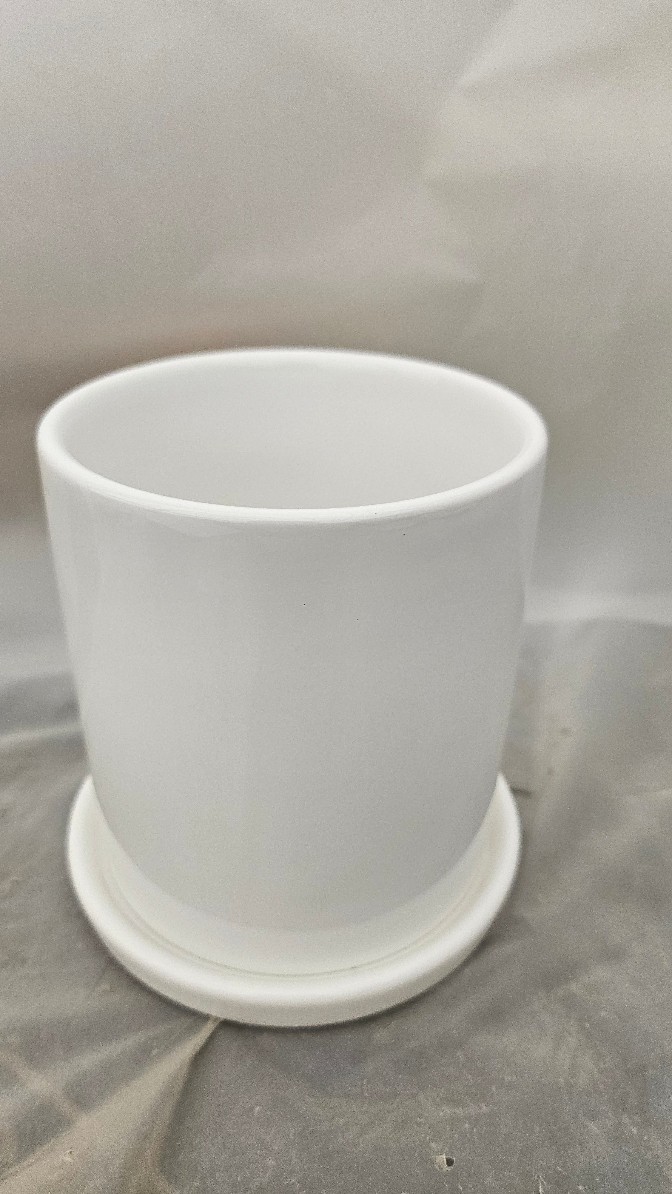 送料無料　シダ　タイガー　陶器鉢　観葉植物